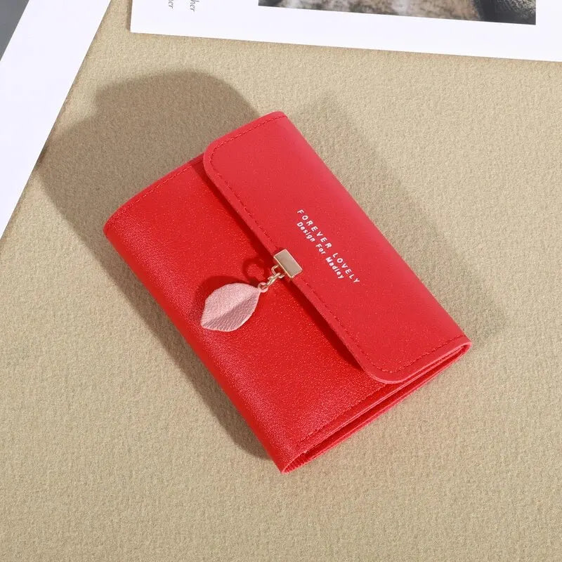 Casual Credit Card Holder & Coin Purse for Women