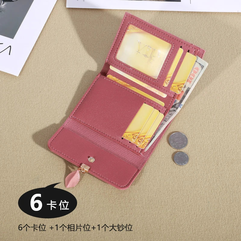 Casual Credit Card Holder & Coin Purse for Women