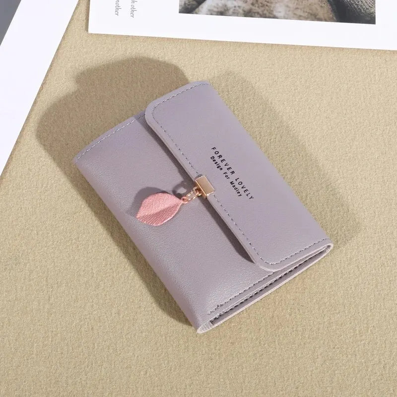 Casual Credit Card Holder & Coin Purse for Women