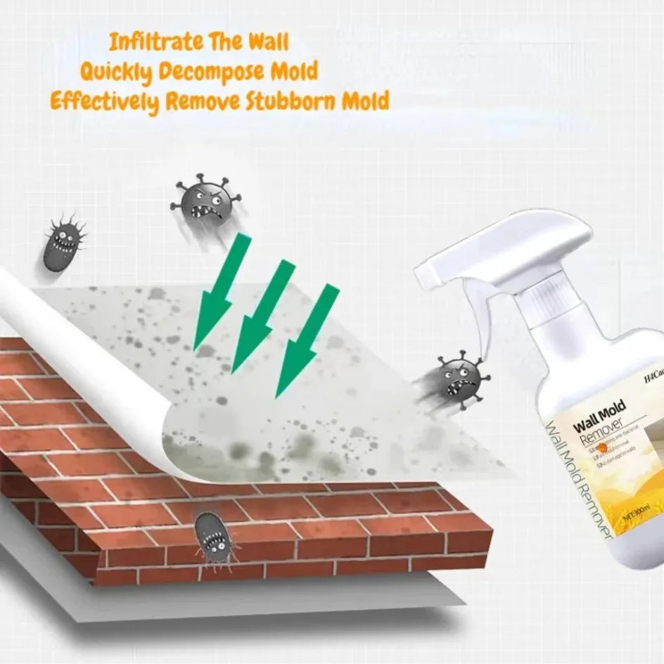 Mold Remover Spray for Home Surfaces