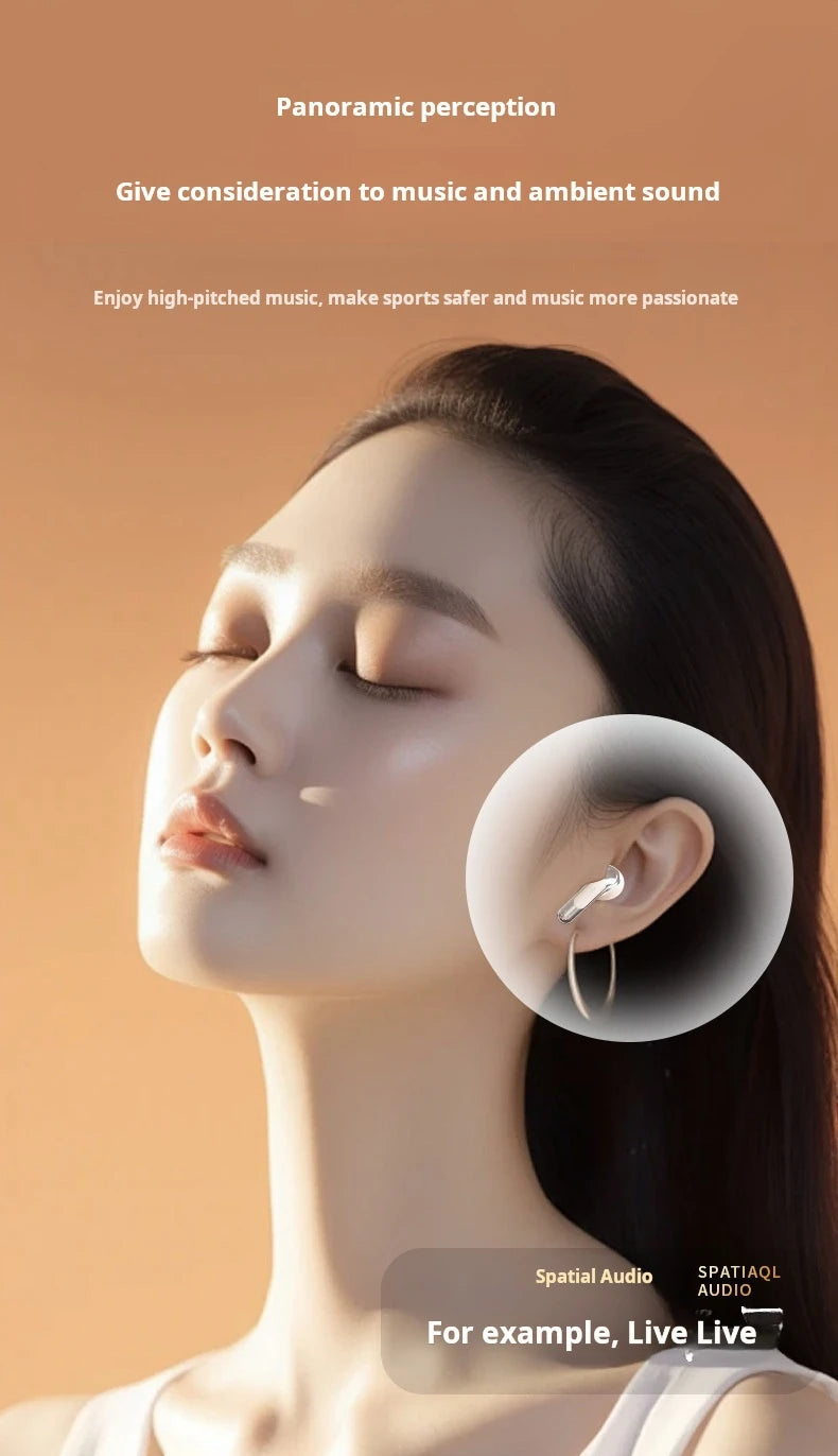 Xiaomi Bluetooth Earphones