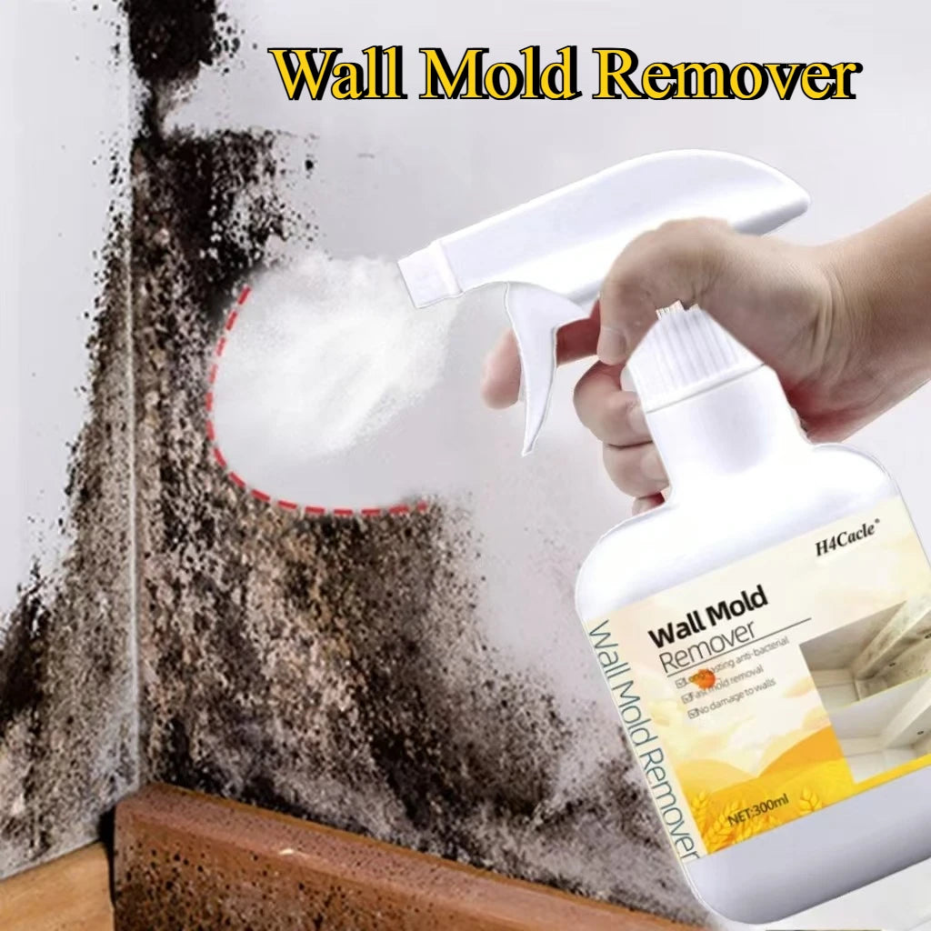Mold Remover Spray for Home Surfaces