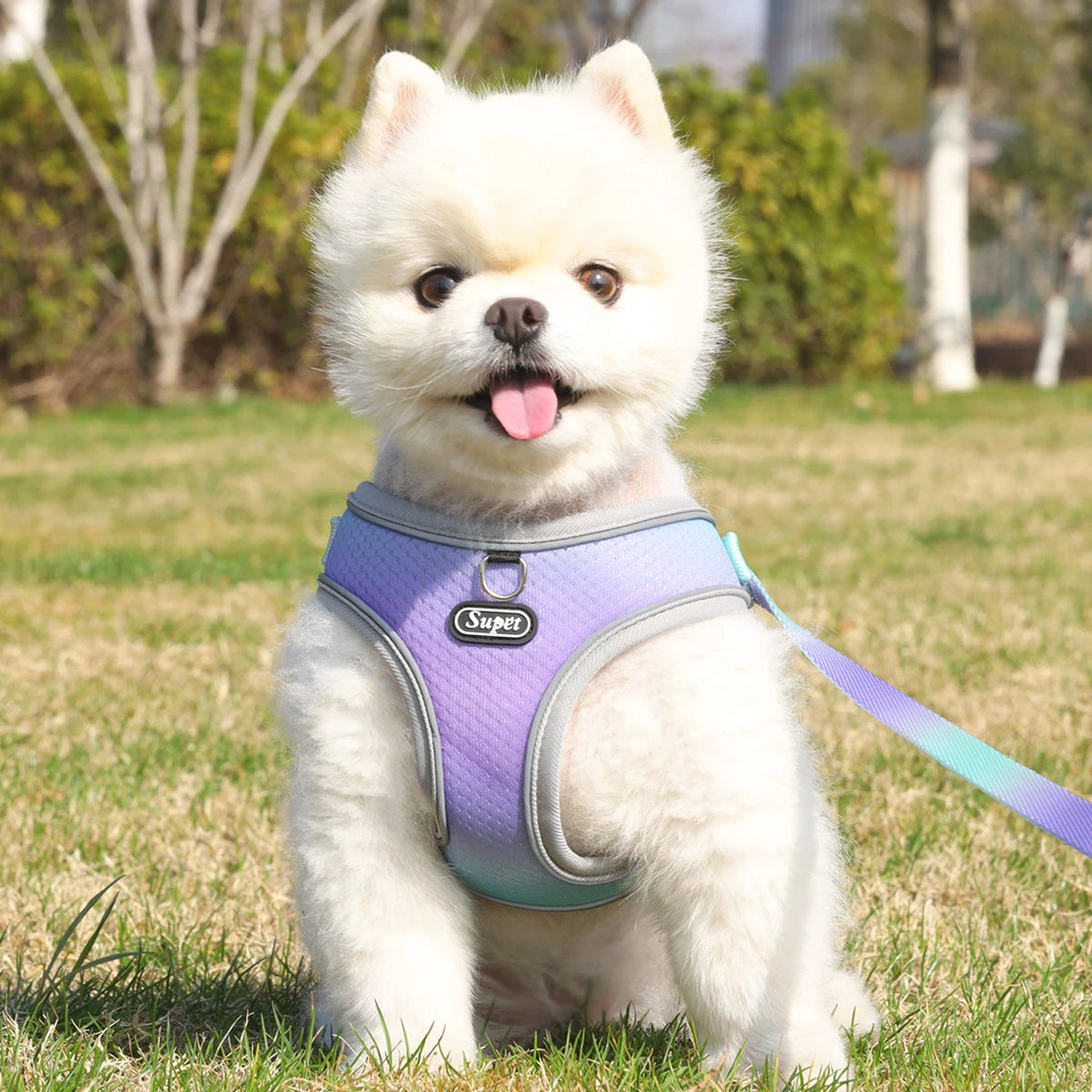 Pet Step-In Harness