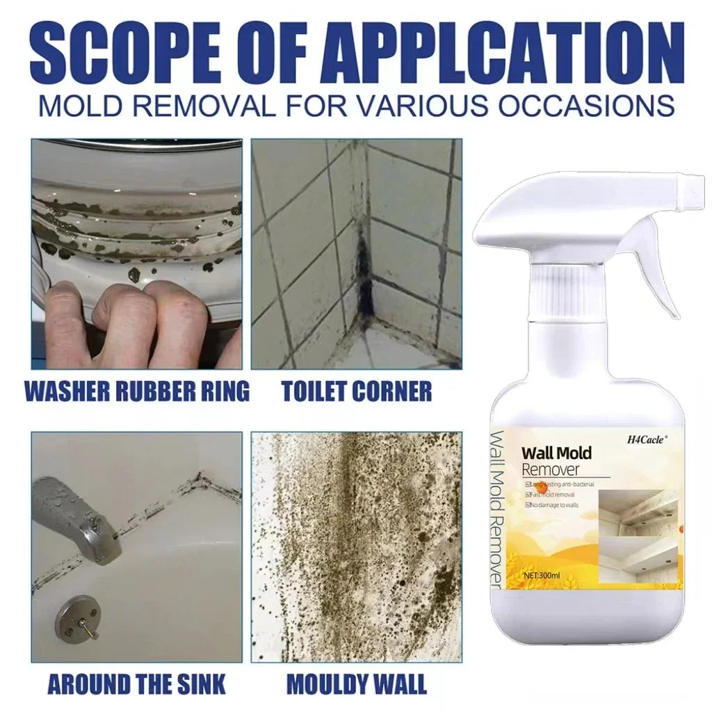 Mold Remover Spray for Home Surfaces