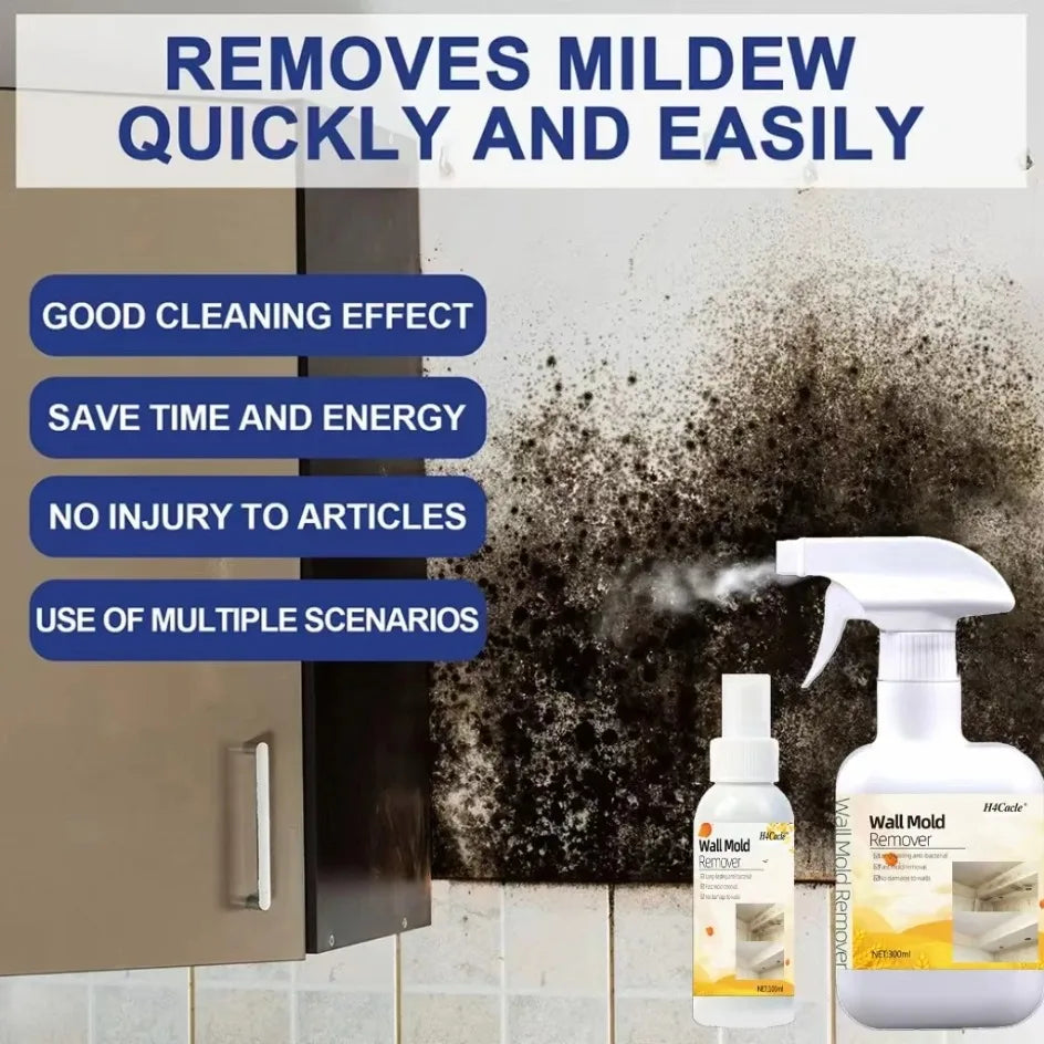 Mold Remover Spray for Home Surfaces