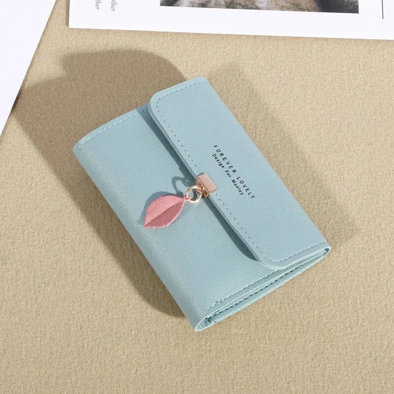 Casual Credit Card Holder & Coin Purse for Women