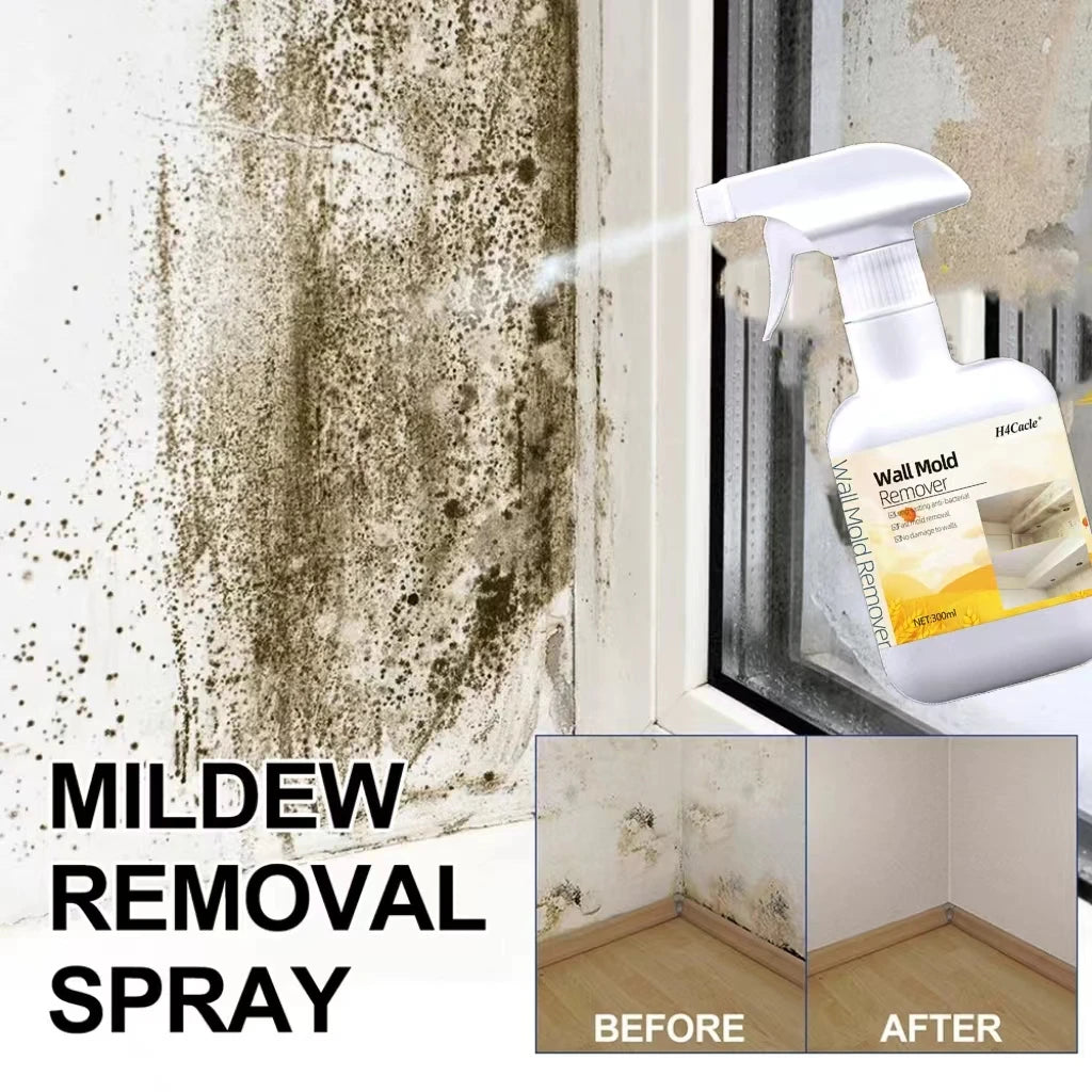 Mold Remover Spray for Home Surfaces