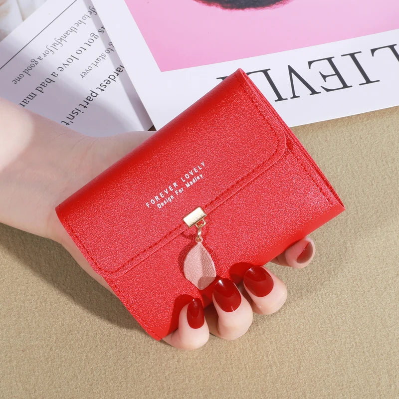 Casual Credit Card Holder & Coin Purse for Women