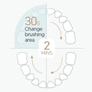 Fairywill FW-507 Electric Sonic Toothbrush – Rechargeable & Waterproof