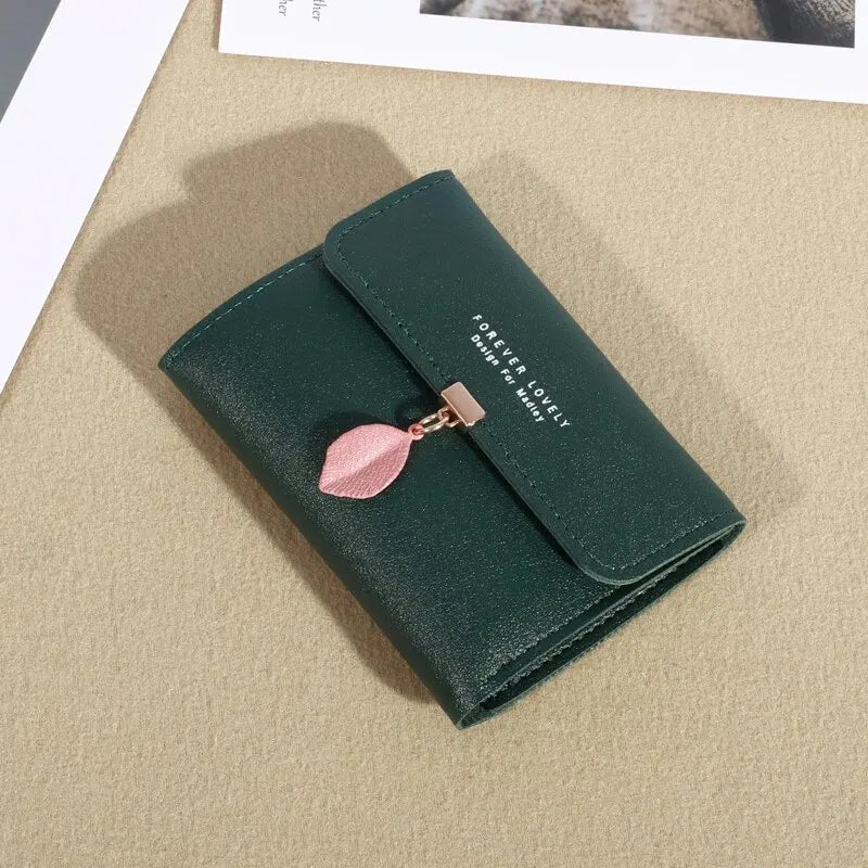 Casual Credit Card Holder & Coin Purse for Women