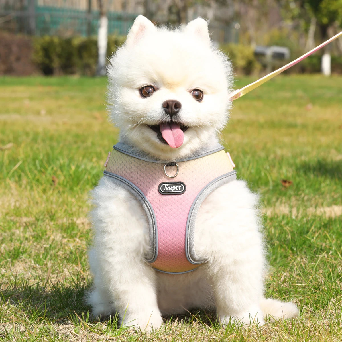 Pet Step-In Harness