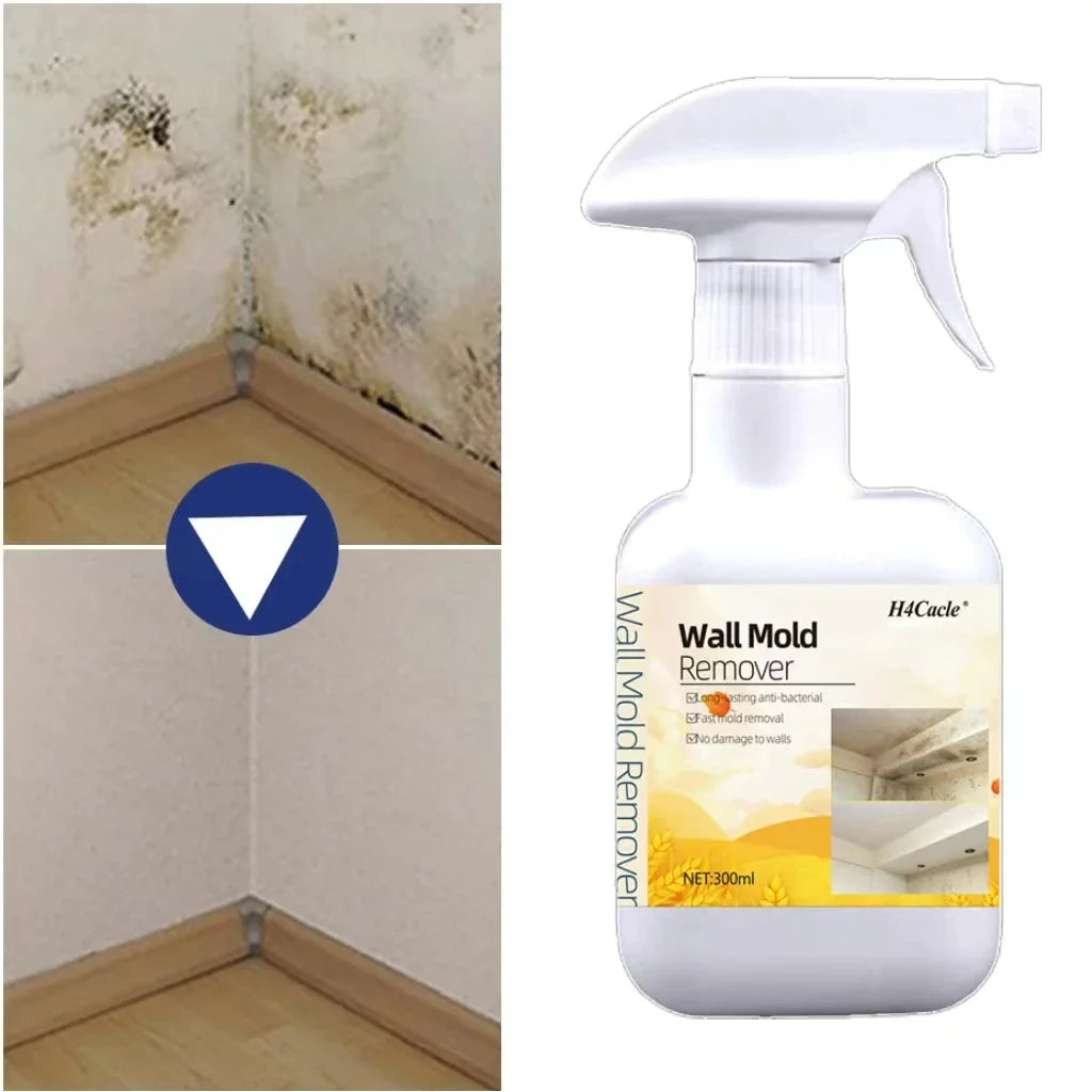 Mold Remover Spray for Home Surfaces