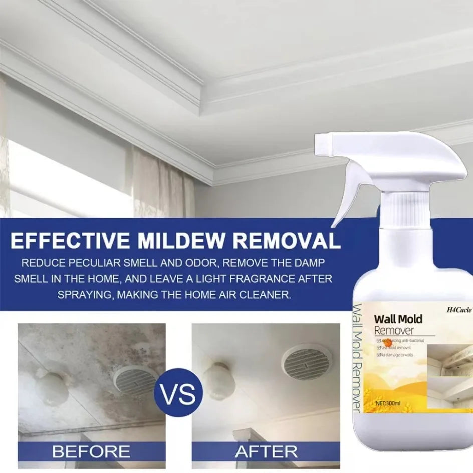 Mold Remover Spray for Home Surfaces