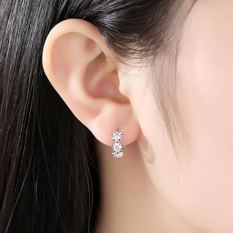 Crystal Zircon Silver Earrings"