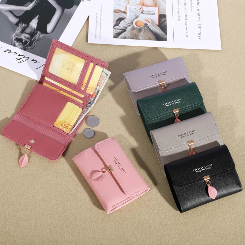 Casual Credit Card Holder & Coin Purse for Women