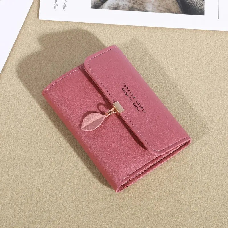 Casual Credit Card Holder & Coin Purse for Women